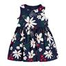 Carter's haljina za bebe devojčice Z221N985310